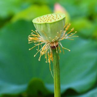 《细讲弟子规》第十四讲：立身宝箴，存好心行好事（7）