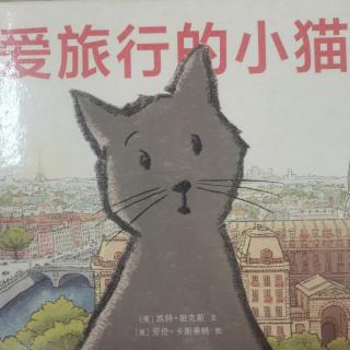 爱旅行的小猫