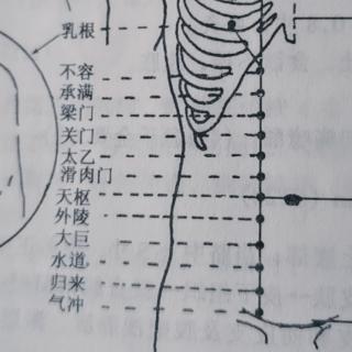 身体小常识（经络学）