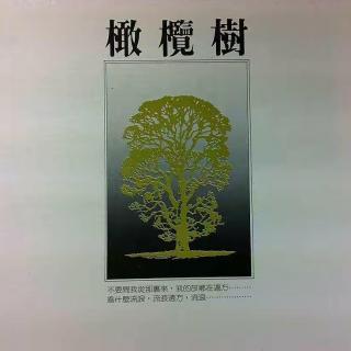 《橄榄树》专辑40周年   听说宝岛NO.52