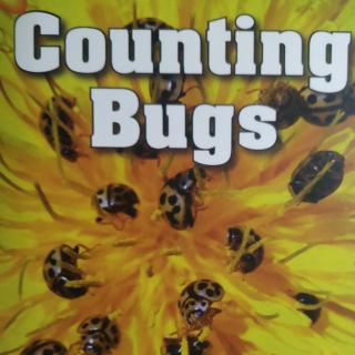 Sissie读Raz aa counting bugs