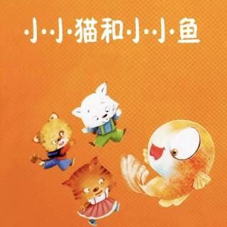 《小小猫和小小鱼》