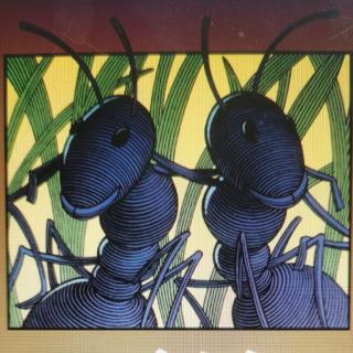 《两只坏蚂蚁》