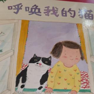 《呼唤我的猫》