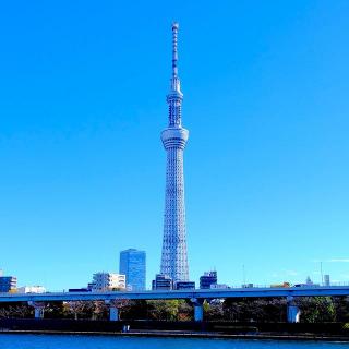 东京晴空塔十周年啦！