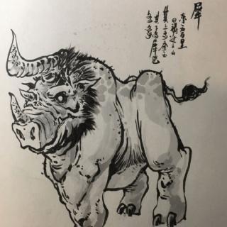 山海经  兕