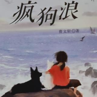 《疯狗浪》