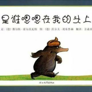 《是谁嗯嗯在我的头上》～幼稚绘🐻老师晚安绘本故事