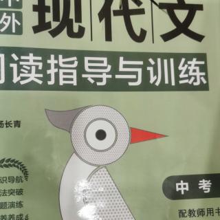 《啄木鸟52》《粮食》