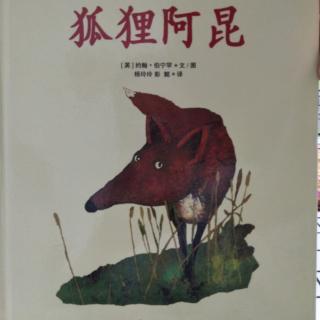 《狐狸阿昆》