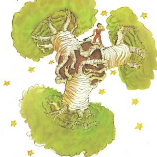 《小王子》第五章孩子们当心猴面包树