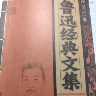 鲁迅经典文集                      ——阿Q正传(第七章 革命)