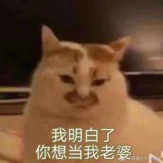 处心积虑 7