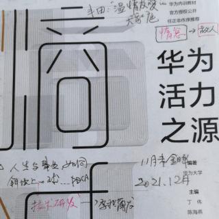 ㊙️惶者生存，华为是个开放系统106