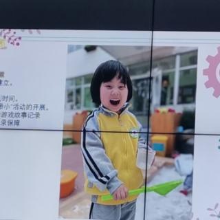 幼儿园教育指导纲要，组织与实施