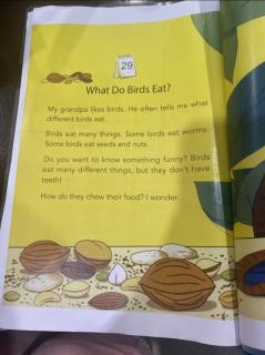 What do birds eat