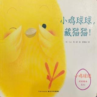 《小鸡球球藏猫猫》