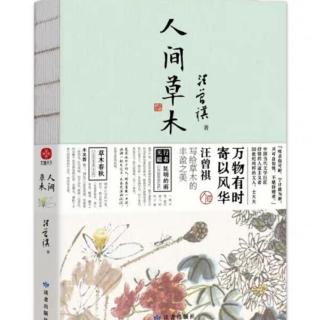 人间草木｜腊梅花