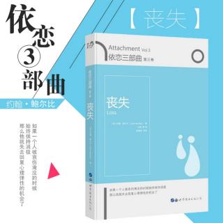 第14章 悲伤、抑郁状态和抑郁障碍（250－261页）