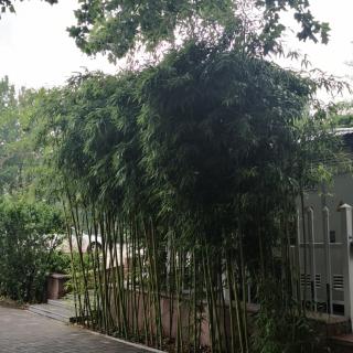 《经营与会计》067一073