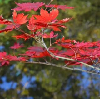 人生四大幸事