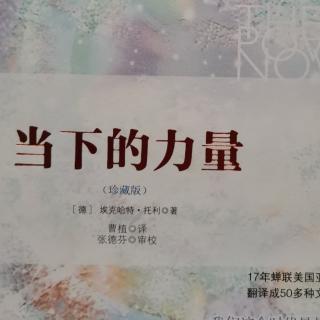 《当下的力量》4.3他们在寻找什么