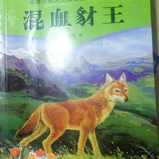 第2159天《混血豺王~六十》沈石溪