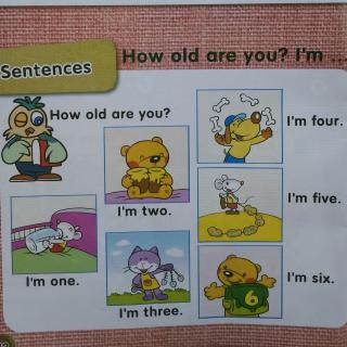 U304  Sentences