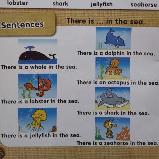 U304  Sentences