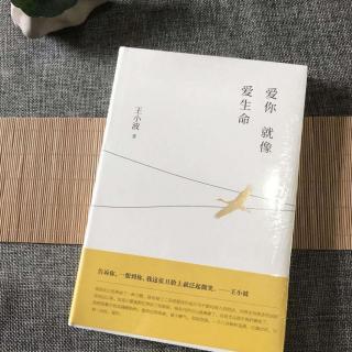 《爱你就像爱生命》我是一只骆驼