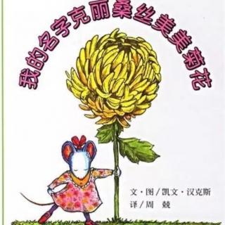 我的名字克里桑丝美美菊花