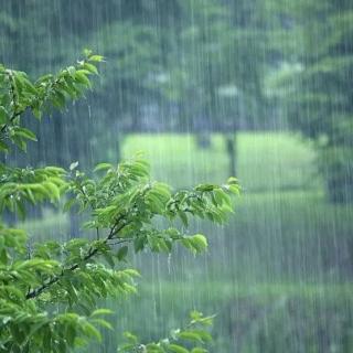 梅雨天