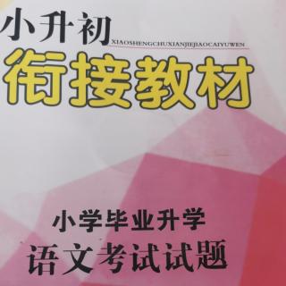 《小升初试卷12》《笨男孩与纽扣》