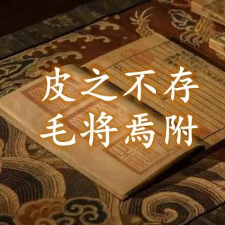 皮之不存毛将焉附