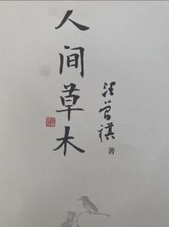 《人间草木》第38页～46页