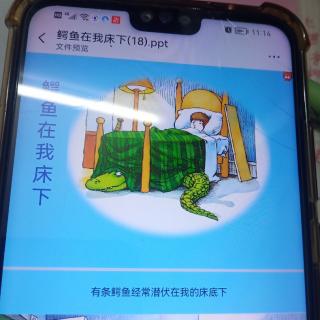 鳄鱼在我床下