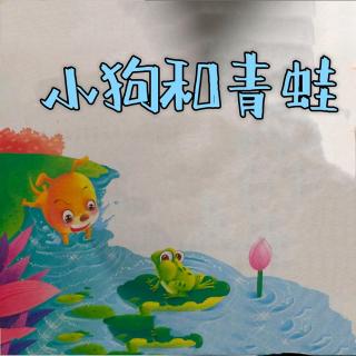 小狗和青蛙