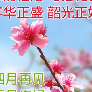 师生聚会感言