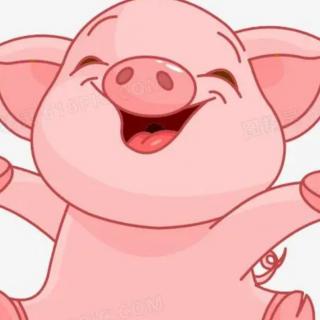 爱心故事——《小猪找快乐》