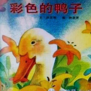 彩色的鸭子🦆2