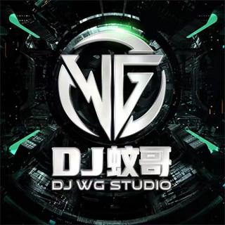 DJ蚊哥-中英Vina&Funky弹跳系列节凑Vol.1