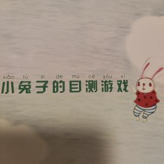 小兔子的目测游戏