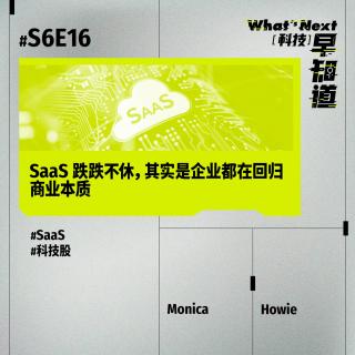 S6E16｜SaaS 跌跌不休，其实是企业都在回归商业本质