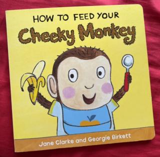 How to feed your cheeky monoey