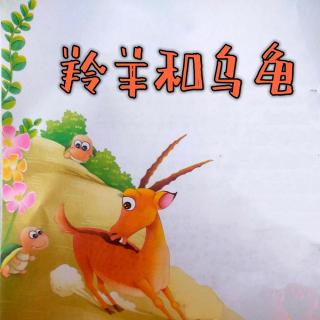 羚羊和乌龟