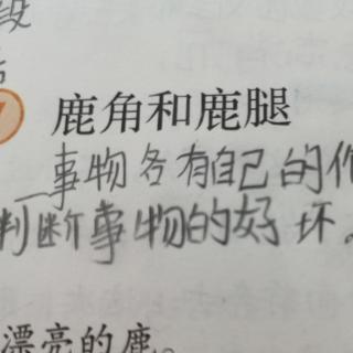 张艺聍课外阅读打卡《鹿角和鹿腿》