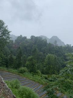 诗歌：代别离·秋窗风雨夕 作者：曹雪芹（清）