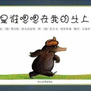 绘本故事《🐭是谁嗯嗯在我头上💩》