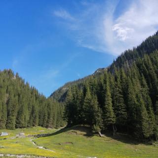 去雪山下的草原奔跑，去森林里的湖泊散步，這個(gè)夏天一定要去北彊