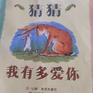 绘本故事~《猜猜我有多爱你》